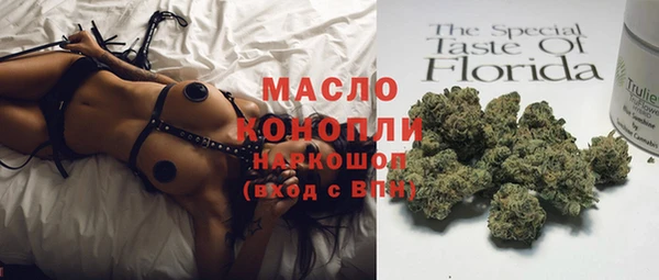 винт Ельня