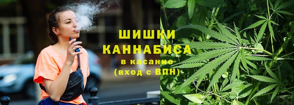 стаф Козельск